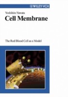 EBOOK Cell Membrane