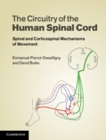 EBOOK Circuitry of the Human Spinal Cord