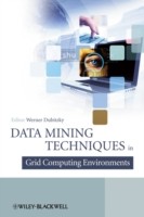EBOOK Data Mining in Grid Computing Environments