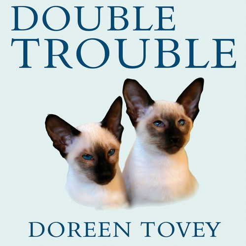 EBOOK Double Trouble