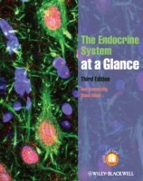 EBOOK Endocrine System at a Glance