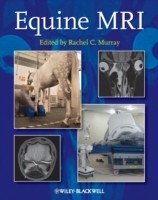 EBOOK Equine MRI
