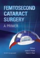 EBOOK Femtosecond Cataract Surgery