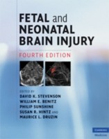 EBOOK Fetal and Neonatal Brain Injury