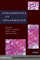 EBOOK Fundamentals of Inflammation