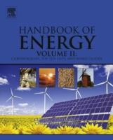 EBOOK Handbook of Energy