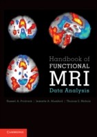 EBOOK Handbook of Functional MRI Data Analysis