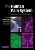 EBOOK Human Pain System