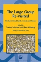 EBOOK Large Group Re-Visited