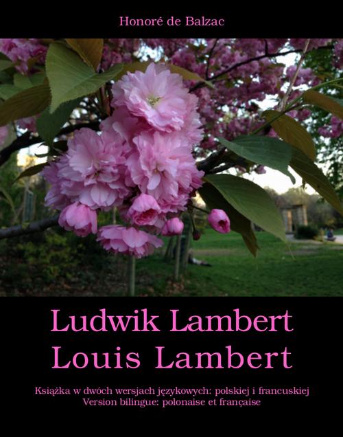 EBOOK Ludwik Lambert. Louis Lambert