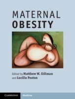 EBOOK Maternal Obesity
