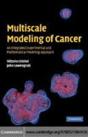 EBOOK Multiscale Modeling of Cancer