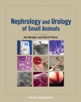 EBOOK Nephrology and Urology of Small Animals