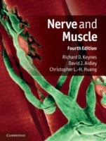 EBOOK Nerve and Muscle