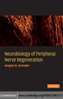 EBOOK Neurobiology of Peripheral Nerve Regeneration