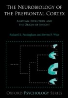 EBOOK Neurobiology of the Prefrontal Cortex:Anatomy, Evolution, and the Origin of Insight