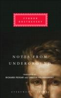 EBOOK Notes from Underground