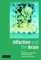 EBOOK Olfaction and the Brain