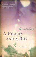 EBOOK Pigeon and a Boy