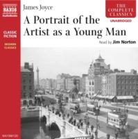 EBOOK Portrait of the Artist as a Young Man