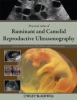 EBOOK Practical Atlas of Ruminant and Camelid Reproductive Ultrasonography
