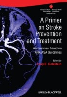 EBOOK Primer on Stroke Prevention and Treatment