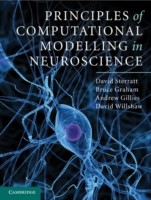 EBOOK Principles of Computational Modelling in Neuroscience