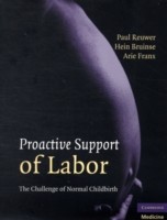 EBOOK Proactive Support of Labor