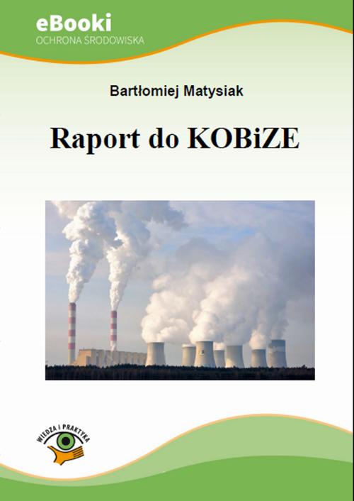 EBOOK Raport do KOBiZE