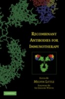 EBOOK Recombinant Antibodies for Immunotherapy