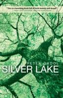 EBOOK Silver Lake