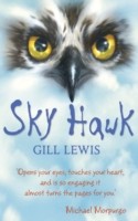 EBOOK Sky Hawk