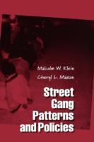EBOOK Street Gang Patterns and Policies