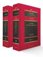 EBOOK System Prawa Karnego Procesowego. Tom III. Zasady procesu karnego