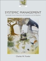 EBOOK Systemic Management