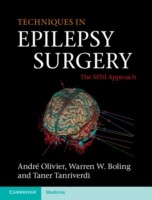 EBOOK Techniques in Epilepsy Surgery