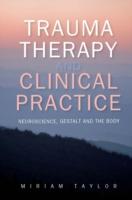 EBOOK Trauma Therapy And Clinical Practice
