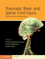 EBOOK Traumatic Brain and Spinal Cord Injury