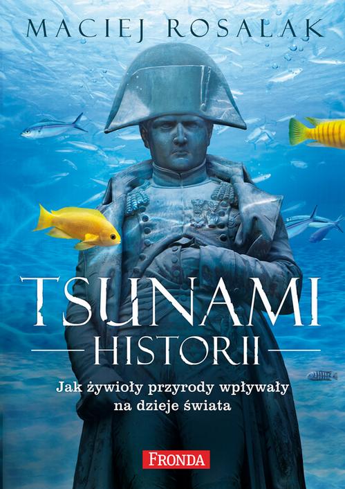 EBOOK Tsunami Historii