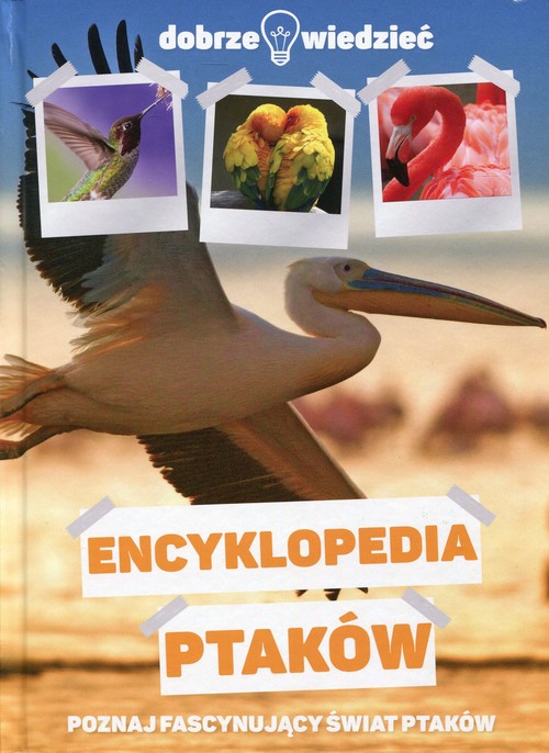 Encyklopedia ptaków Dobrze wiedzieć