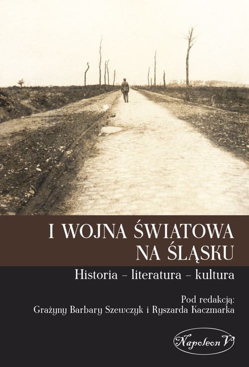 I wojna światowa na Śląsku Historia literatura kultura