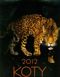 Kalendarz 2012 Koty