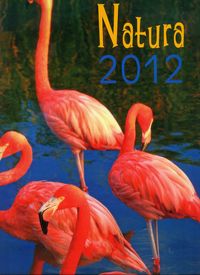 Kalendarz 2012 Natura