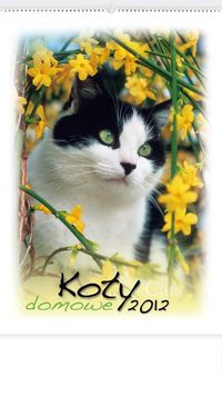 Kalendarz 2012 RW21 Koty domowe
