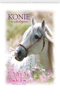 Kalendarz 2012 RW22 Konie w obiektywie