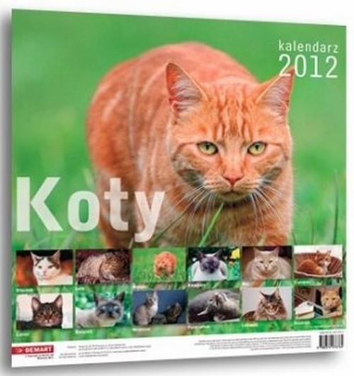 Kalendarz 2012 ścienny Koty