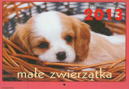 Kalendarz 2013 Małe zwierzątka