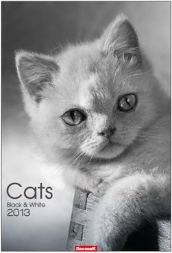 Kalendarz planszowy 2013 Cats black & white (BPZ)