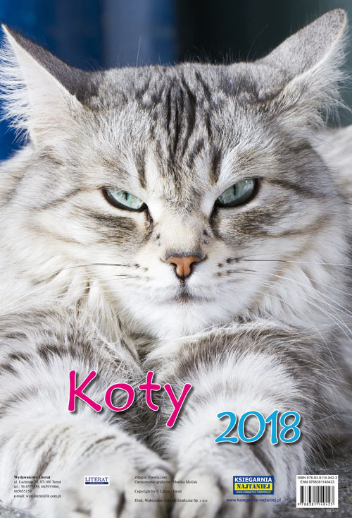 Kalendarz ścienny 2018 Koty