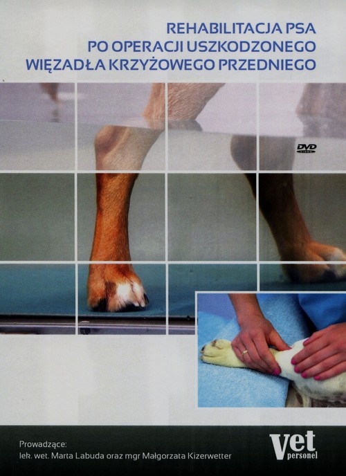 Kliniczne i radiologiczne aspekty dysplazji stawów biodrowych psów